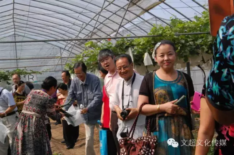 摩根娱乐官方网站图片