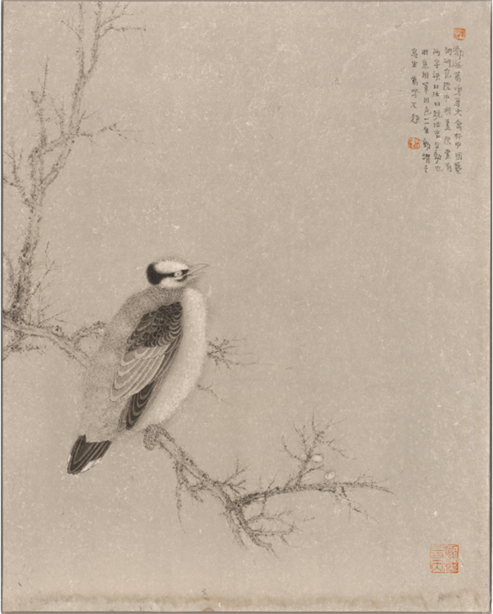 摩根娱乐官方网站图片