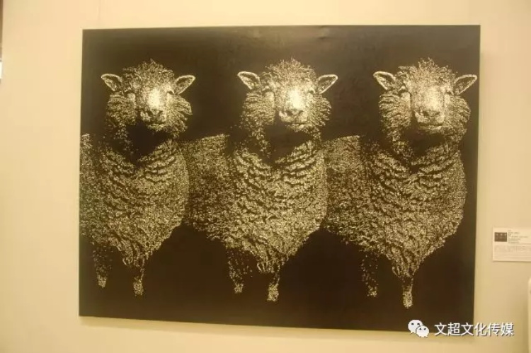 摩根娱乐官方网站图片