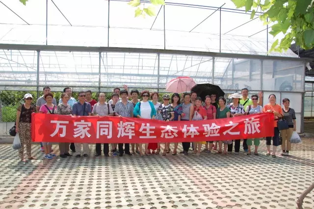 摩根娱乐官方网站图片