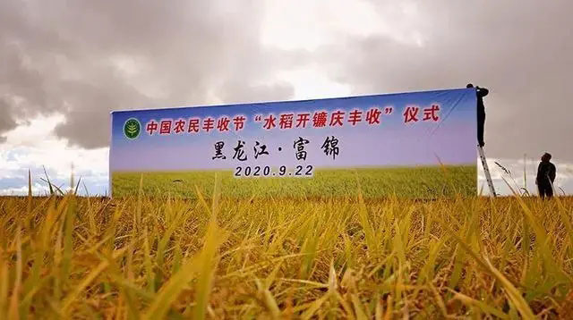 摩根娱乐官方网站图片