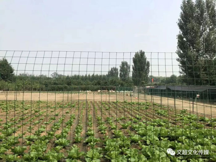 摩根娱乐官方网站图片