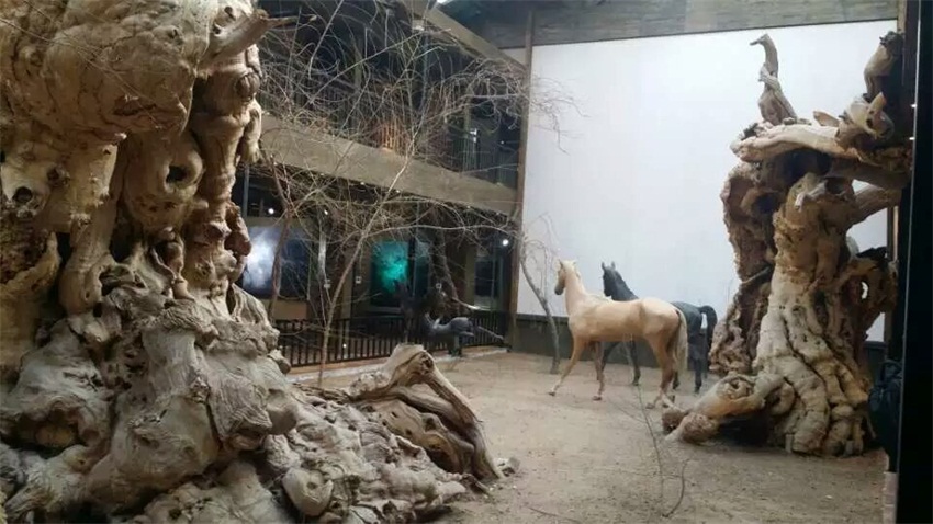 摩根娱乐官方网站图片
