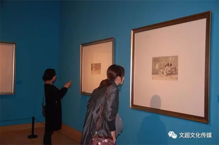 摩根娱乐官方网站图片