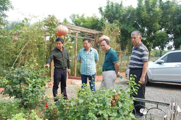 摩根娱乐官方网站图片