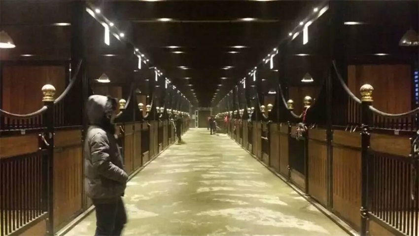 摩根娱乐官方网站图片
