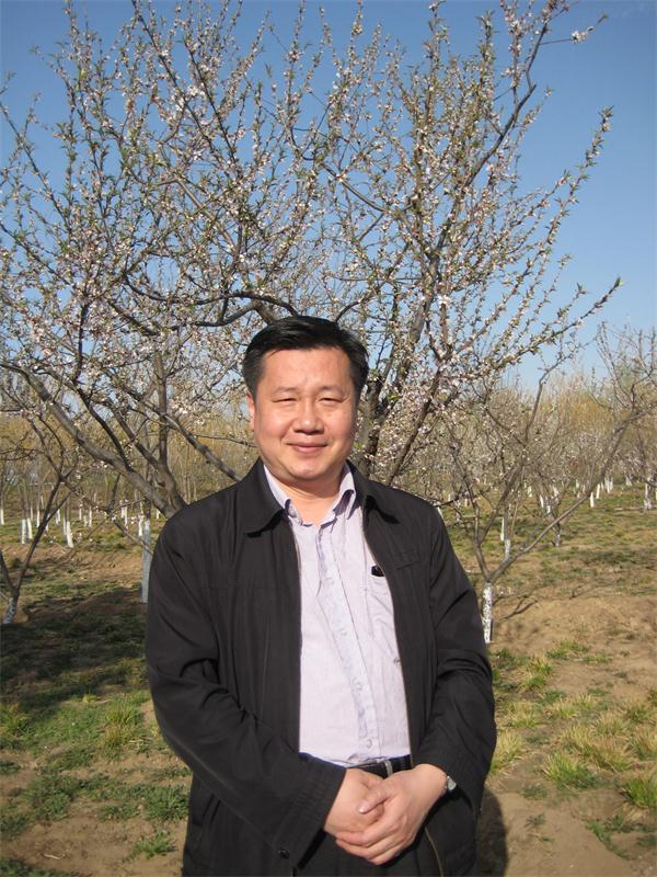 摩根娱乐官方网站图片