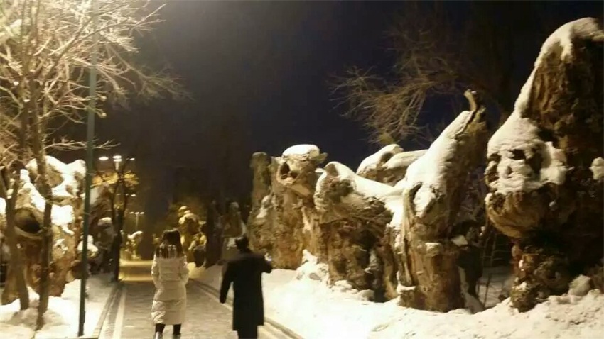 摩根娱乐官方网站图片