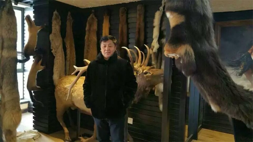 摩根娱乐官方网站图片