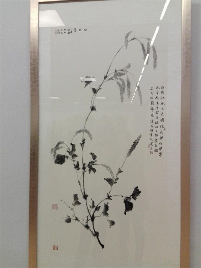 摩根娱乐官方网站图片
